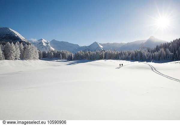 Bergkette  Bäume und Seniorenpaar weit weg auf verschneiter Landschaft  Sattelbergalm  Tirol  Österreich