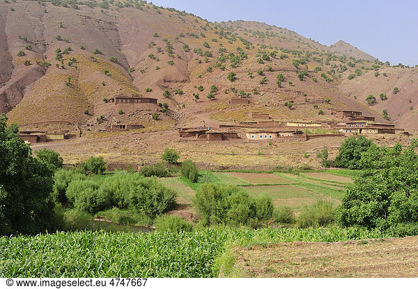 Berglandschaft  Flusstal mit Feldern und einem kleinen Dorf der Berber im Hohen Atlas  die Häuser sind aus Stampflehm errichtet  Ait Bouguemez-Tal  Hoher Atlas  Marokko  Afrika