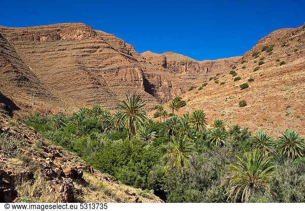 Berglandschaft im Ait Mansour Tal mit Dattelpalmen in einem ausgetrockneten Flussbett  Antiatlas  Südmarokko  Marokko  Afrika
