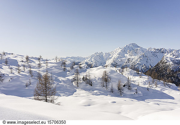 Berglandschaft mit Neuschnee  Valmalenco  Italien