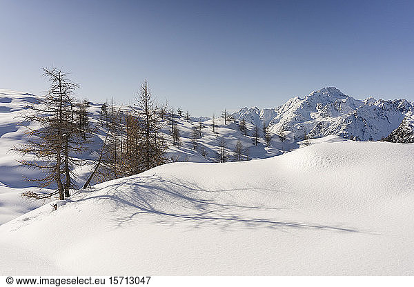 Berglandschaft mit Neuschnee  Valmalenco  Italien
