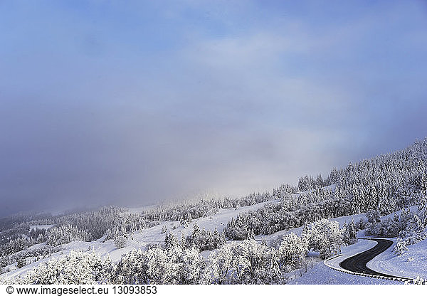 Bergstraße inmitten schneebedeckter Kiefern vor wolkigem Himmel
