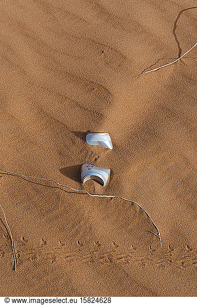 Beverage can in sand dune in Sahara Desert  Merzouga  Morocco