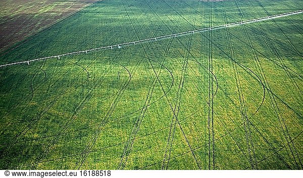 Bewässerte Plantagen im westlichen Teil des Bundesstaates Bahia  Brasilien  Südamerika