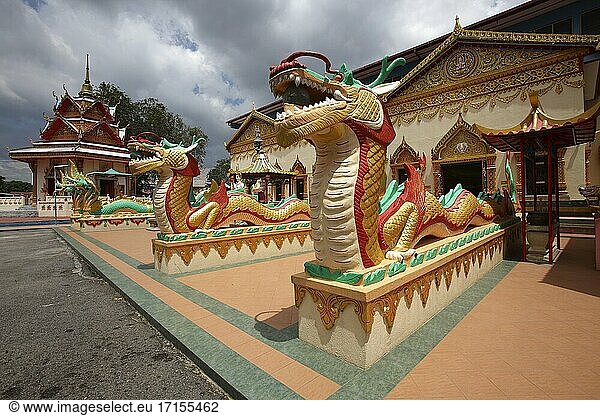 Bewachung von Schlangen im Wat Chayamangkalaram-Tempel  Penang  Malaysia.