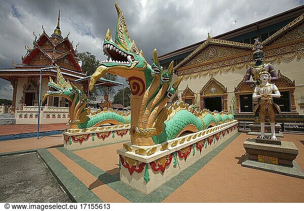 Bewachung von Schlangen im Wat Chayamangkalaram-Tempel  Penang  Malaysia.