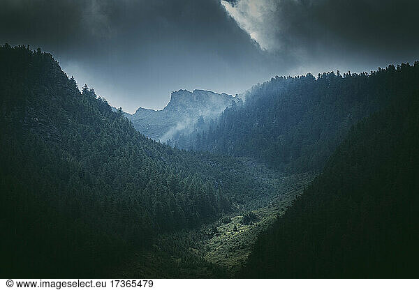 Bewaldetes Bergtal in der Abenddämmerung