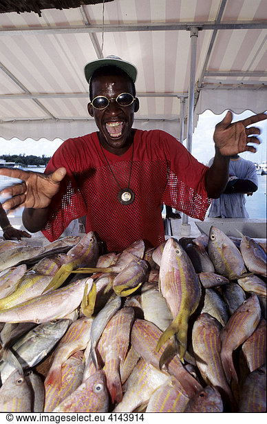 BHS  Bahamas  New Providence  Nassau: Fish market Independent state in the West Indies  member of Comonwealth of Nations.