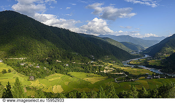 Bhutan  Dorf Yepaisa  Dorf und Terrassenfelder im bewaldeten Bergtal