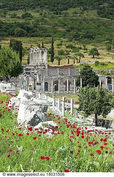 Bibliothek von Celsus  Ephesos  Provinz Izmir  Türkei  Ephesus  Asien
