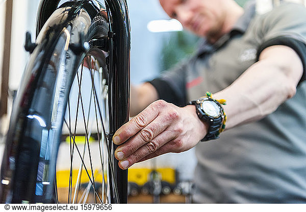 Bicycle mechanic working in bike shop  checking front wheel