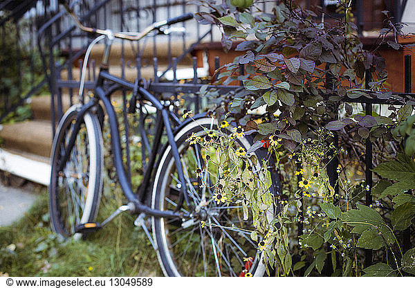 Bicycle parked by fence in backyard