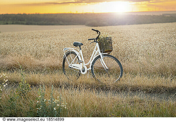 Bicycle parked in field at sunset