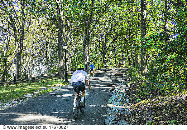 Bicycle Path  Riverside Park  New York City  New York  USA