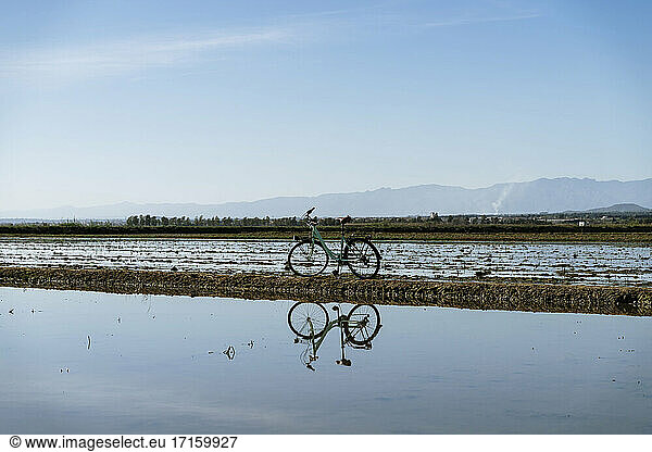 Bicycle with reflection at rice paddy on Ebro's Delta against blue sky