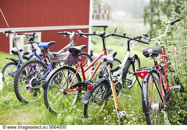 Bicycles parked in a row