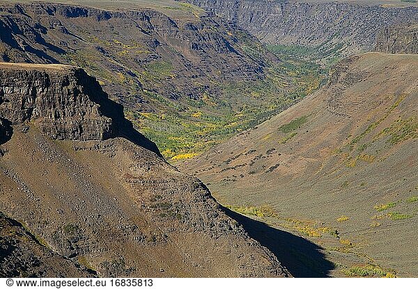 Big Indian Gorge  Steens Mountain Cooperative Management and Protection Area  Steens Mountain Backcountry Byway  Oregon.