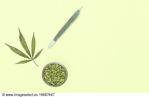 Big marijuana joint  grinder full of chopped weed and leaf on yellow background with copy space right.