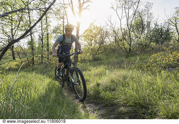 Biker riding through trails in forest