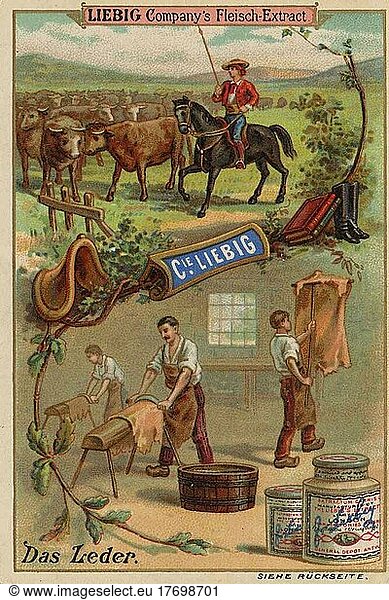 Bilderserie Die Rohstoffe  das Leder  Rinderzüchter  Ledergerber  Historisch  digital restaurierte Reproduktion eines Liebig Sammelbildes von ca 1900