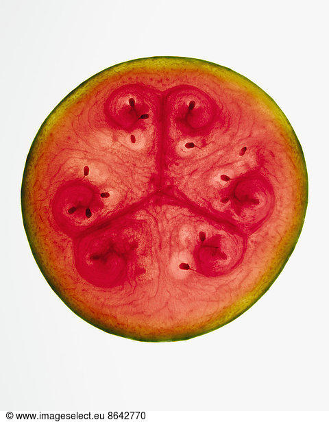 Bio-Wassermelonen-Schnitte