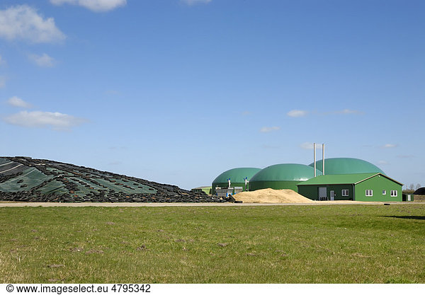 Biogas plant  biomass power plant  with combined heat and power unit  CHP  and an adjacent silo  maize silage