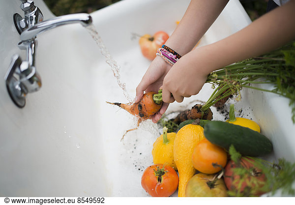 Biologische Landwirtschaft. Ein junges Mädchen wäscht Gemüse unter einem Wasserhahn.