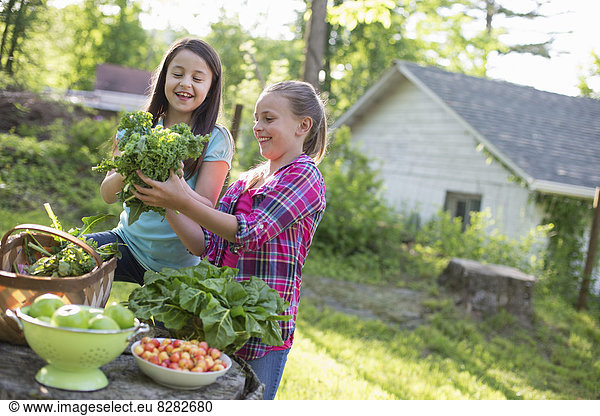 Biologische Landwirtschaft. Sommerfest. Zwei junge Mädchen bereiten Salate zu.