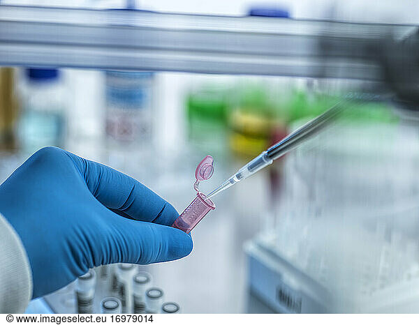 Biotechnologie  Pipettieren einer Probe in ein Fläschchen während eines Experiments