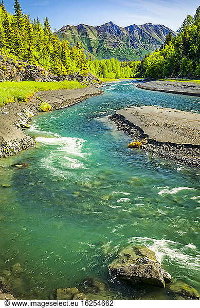 Bird Creek mit grünem Wald im Hintergrund die Chugach Mountains Chugach State Park Süd-Zentral-Alaska im Frühling; Portage Alaska Vereinigte Staaten von Amerika