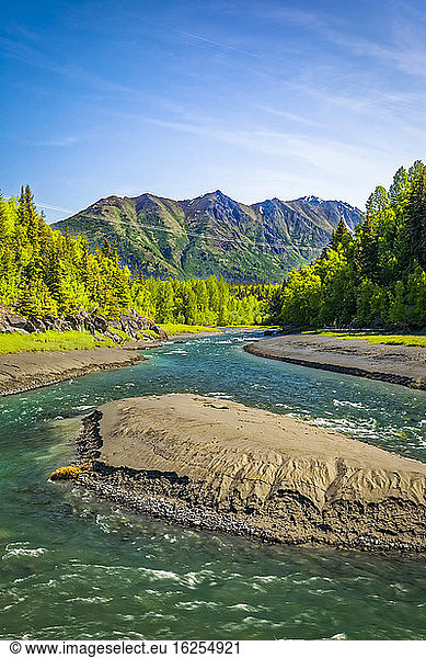 Bird Creek mit grünem Wald  im Hintergrund die Chugach Mountains  Chugach State Park  Süd-Zentral-Alaska im Frühling; Portage  Alaska  Vereinigte Staaten von Amerika