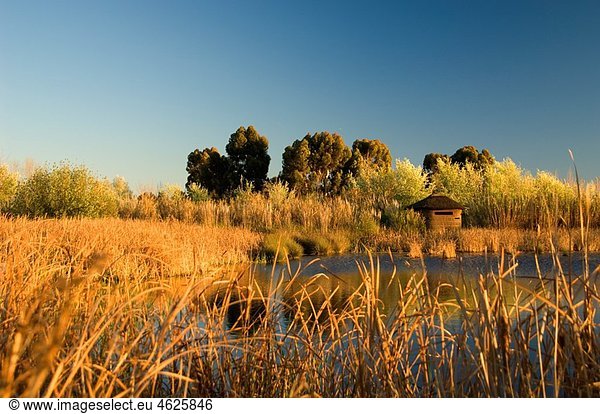 Bird Observatory. Laguna de La Calatilla. Odiel Marshes Natural Place. Huelva. Andalucia. Spain