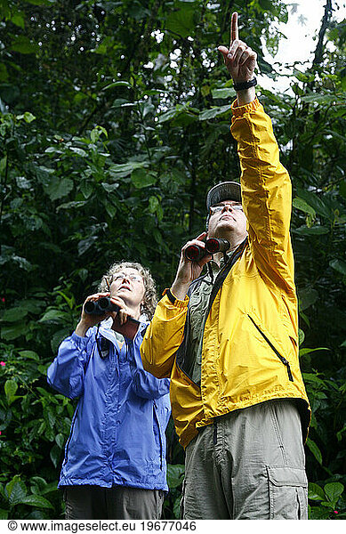 Bird Watchers at the Arenal rainforest. La Fortuna area  Costa Rica.