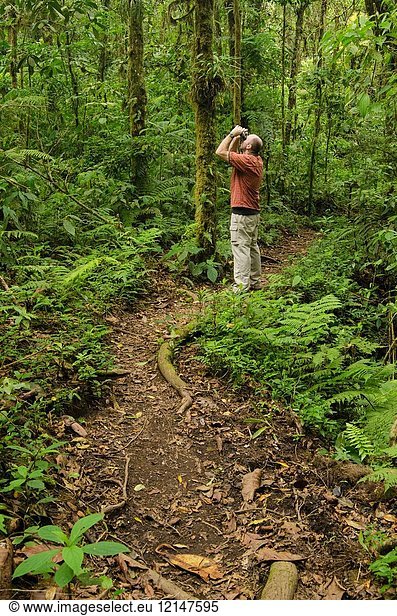Birding on the Cano Negro Trail  Santa Elena Cloud Forest Reserve  Costa Rica.