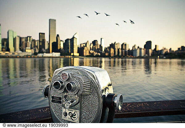 Birds flying by a dock overlooking a city.