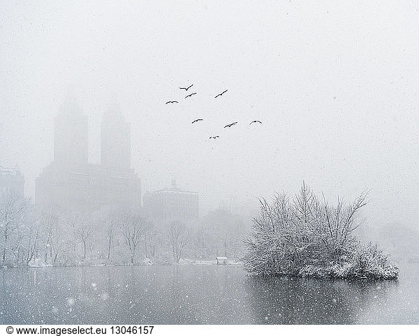 Birds flying over lake in city during snowfall