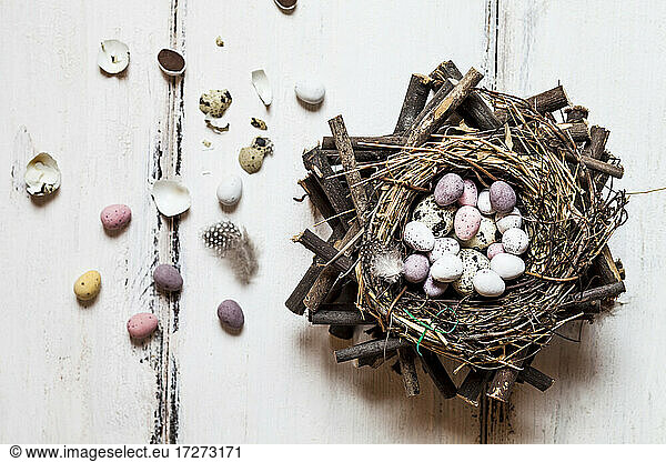 Birds nest filled with quail and Easter eggs