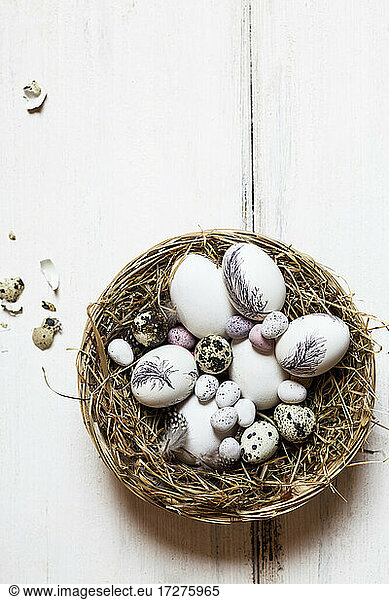 Birds nest filled with quail and Easter eggs