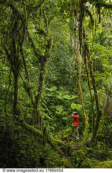 Birdwatcher in the cloud forest looking for birds   Panama