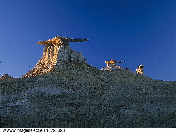 Bisti Wilderniss  Felsformation Stone wings bei Farmington New Mexico  USA  Nordamerika