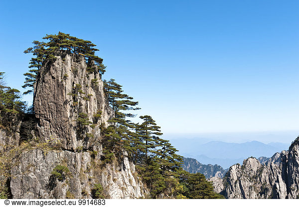 Bizarr aufragende Felsen und Berge mit Huangshan-Kiefern (Pinus hwangshanensis) bewachsen  Huang Shan  Mount Huangshan  Provinz Anhui  China  Asien