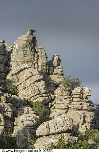 Bizarre Felsformationen aus Kalkstein  Naturschutzgebiet El Torcal  Antequera  Andalusien  Spanien