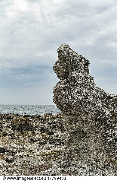 Bizarre Rauke  Raukar  Kalksteinsäule  Felsen an der Küste  Erosion  Folhammar Naturreservat  Insel Gotland  Ostsee  Schweden  Europa