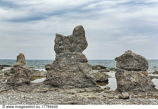 Bizarre Rauken  Raukar  Kalksteinsäulen  Felsen an der Küste  Erosion  Folhammar Naturreservat  Insel Gotland  Ostsee  Schweden  Europa
