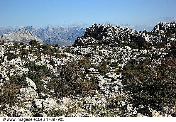 Bizarre Steinformationen im Nationalpark El Torca  Paraje Natural Torcal de Antequera  ist ein 1171 ha großes Naturschutzgebiet mit außergewöhnlichen Karstformationen im spanischen Andalusien  ca. 14 km entfernt von der Provinzstadt Antequera  Provinz Malaga  Andalusien  Spanien  Europa