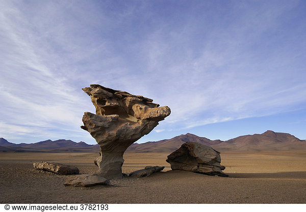 Bizarrer piltzförmiger Felsen (Arbol de Piedra)  Hochland von Uyuni  Bolivien
