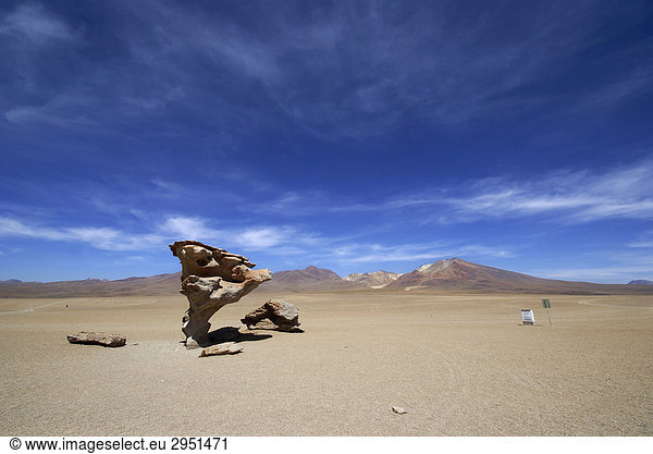 Bizarrer pilzförmiger Felsen (Arbol de Piedra)  Hochland von Uyuni  Bolivien
