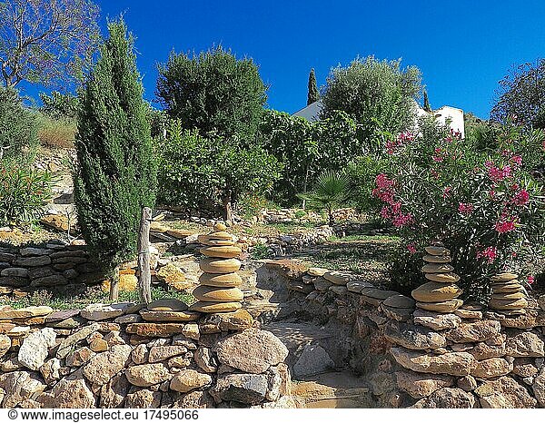 Blühender Steingarten mit Zypresse und Olivenbäumen  Andalusien  Spanien  Europa