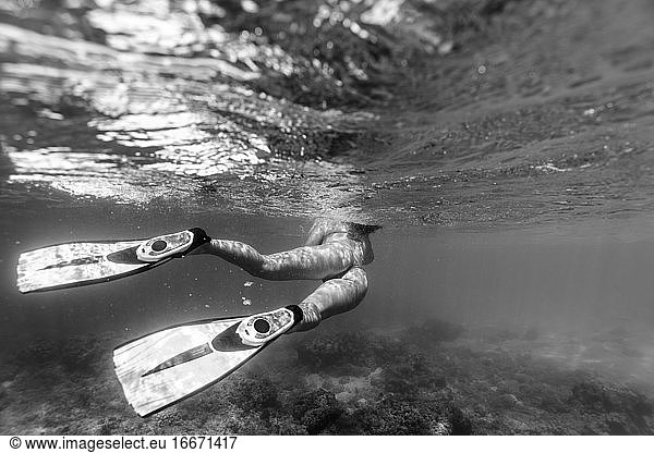 black and white backside shot of female snorkeling with fins