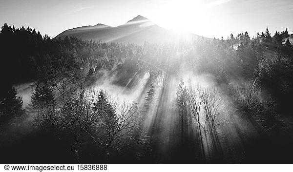 Black and white morning photography